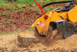 Best Stump Grinding and Removal  in Lower Burrell, PA