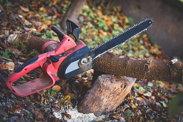 Best Lawn Maintenance Plans  in Lower Burrell, PA